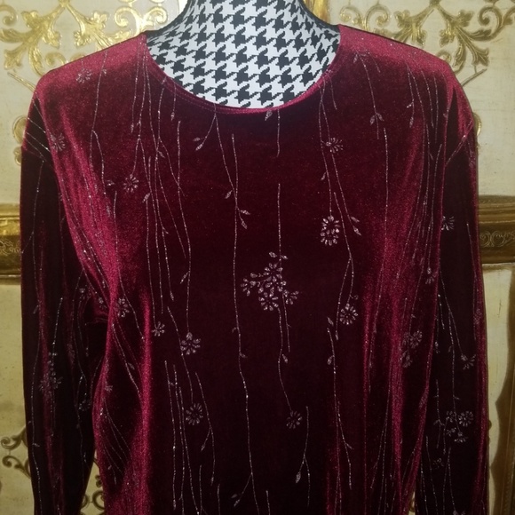 Beautiful Velvet Blouse - Picture 2 of 8